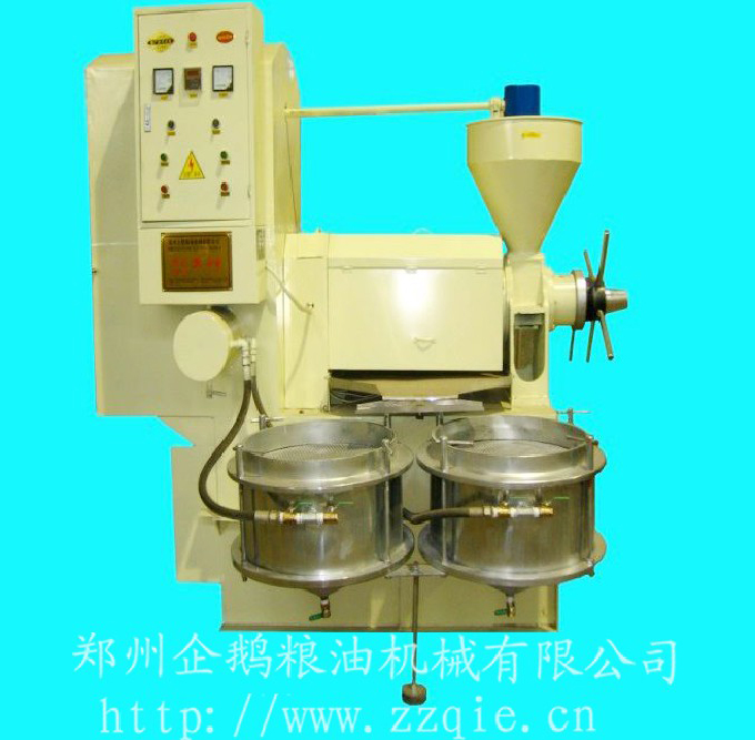 鄭州企鵝，三十年風(fēng)雨路(圖1)