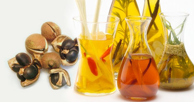 小型榨油機(jī)如何維護(hù)保養(yǎng)(圖1)