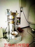 想開小油坊，買什么榨油機(jī)合適