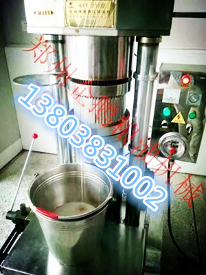 企鵝榨油機(jī)廠家說(shuō)冷榨機(jī)的特點(diǎn)在哪里(圖1)
