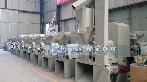 榨油機(jī)可以制取出幾種不同類型橄欖油呢(圖1)