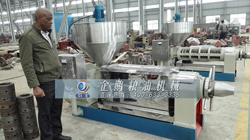 榨油機(jī)壓榨棕櫚果油脂您了解嗎(圖1)